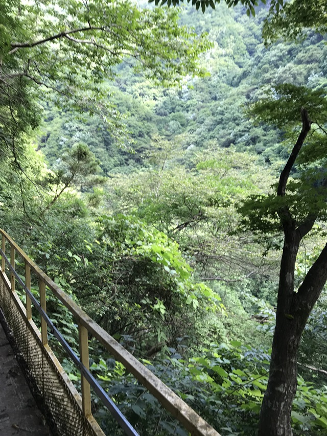 不二洞 大自然 パワースポット